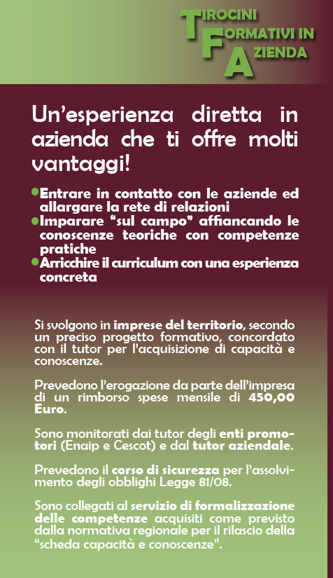 Tirocini Formativi in Azienda Tirocini Formativi in Azienda